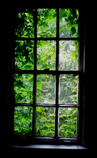 Windowsmall.jpg